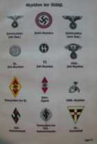 Nazi badges