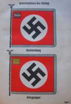 Nazi flags