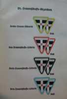 Nazi bwomen's organization badges