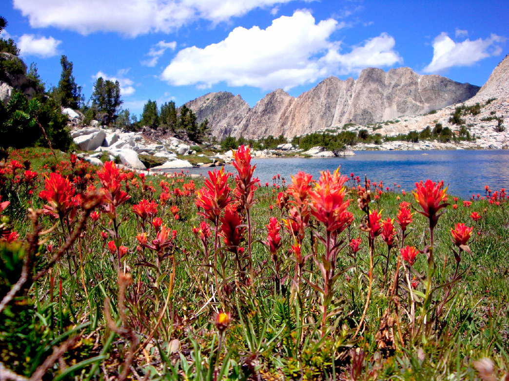 Above Purple Lake